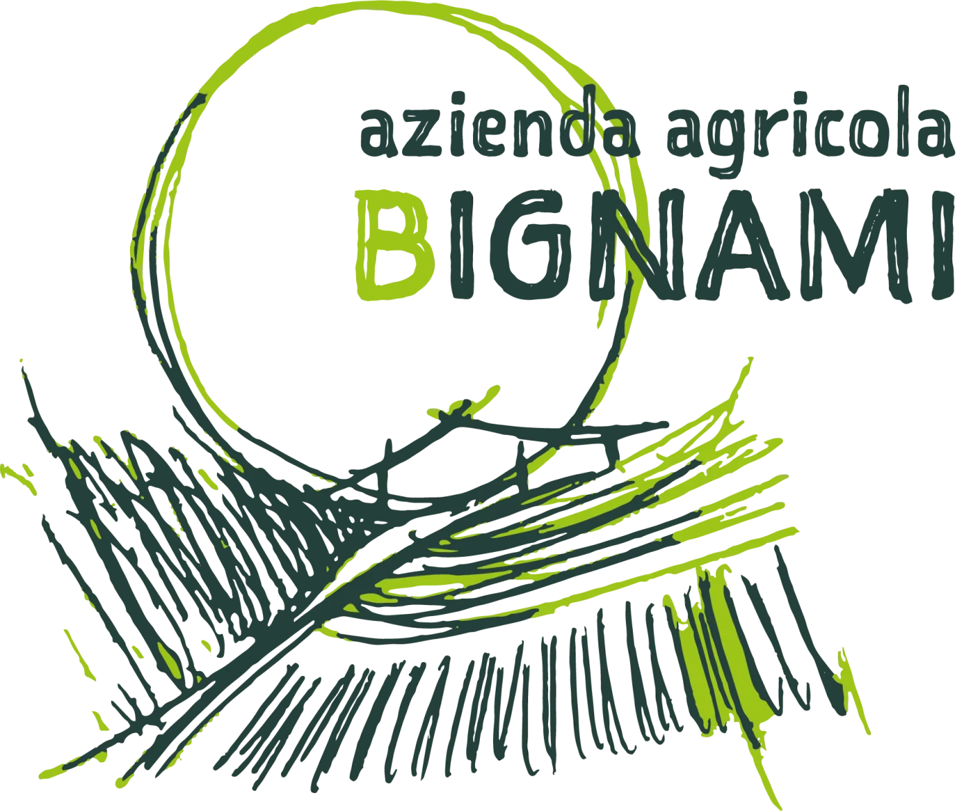 The final Agricola Bignami logo.